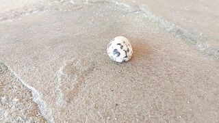 ????Amazing creation of God????????