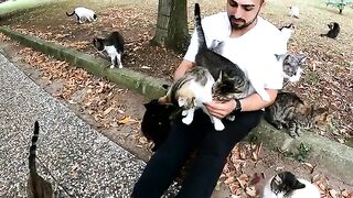 Hugging Street Cats Is the Purest Therapy