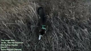 Meet the Deadliest Cat in the World