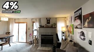 How Close Can I Get To My Cat Before He Crashes Out?