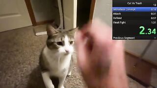 Tool Assisted Annoying My Cat Speedrun (WR)