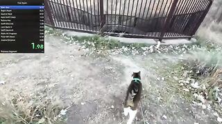 I Let Him Lead The Walk...