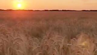 Quranic way to Increase in Your *Rizaq*