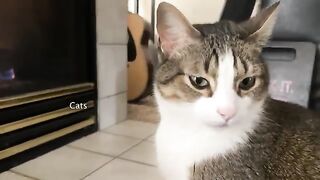 Important Video