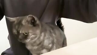 Affection level increased slightly