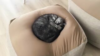 A sleepy child who wants attention when awake