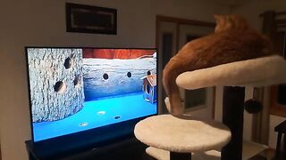 Leo enjoys his me time