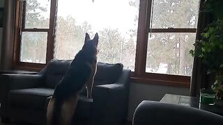 Neighborhood Watch