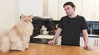 Baking Semlor With Buster!
