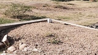 Shivaak AishwaryaTiwari