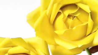 Paper Roses and Glass Cups?! The Results Are Stunning