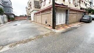 My husband and I fed the cute family of cats and played with them a little.