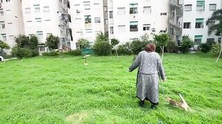 I was offering love to the stray cats, but two of them almost got into a fight, so I brought food.
