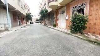 We played with the cute cats and gave them love and delicious food.