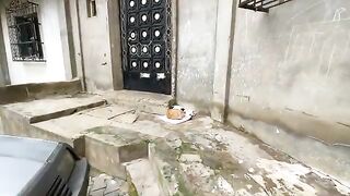 Two friendly cats are happy to see us because we give them love and food.