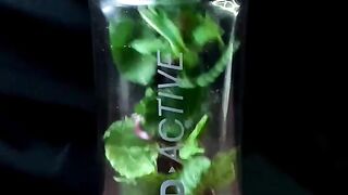 Mint drink....