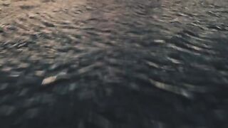 Iconic 2024 Dual Audio Hindi English