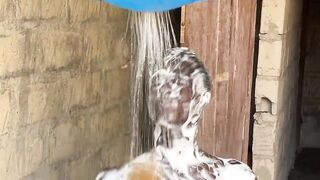 funny entertainment videos