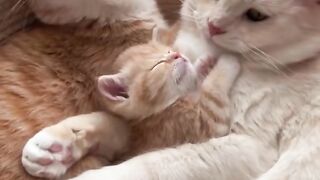 The Purest Family Hug You’ll See Today ????❤️