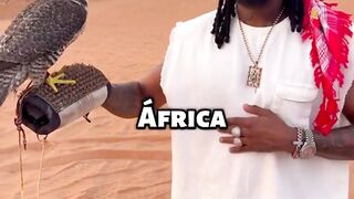 Artista mais caro de África