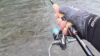 Blinded by the World