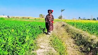 Baby Girl's Incredible Village Walk