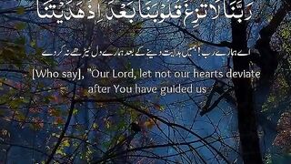 Tilawat e Quran Majeed