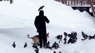 What's going on here...