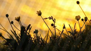 Hamare nafs k hum pr nafs k haqooq complete khutba juma ajmal raza qadi