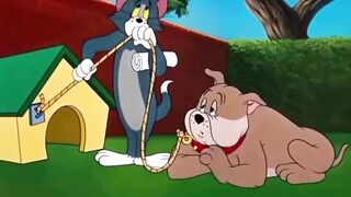 Dogs Not safe ???? Tom And jerry ????????