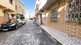 We visited Bushayb the cat and his friendly friends and fed them.