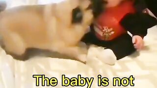 Funny video