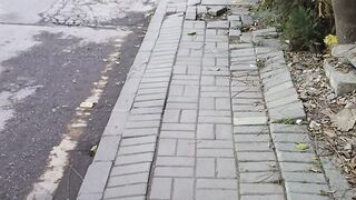 Walking Home