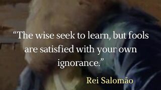 “The wise seek to learn, but fools are satisfied with your own ignorance.”
