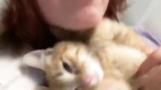 Gatos e seus Tutores