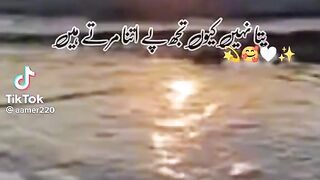 Shairi Video
