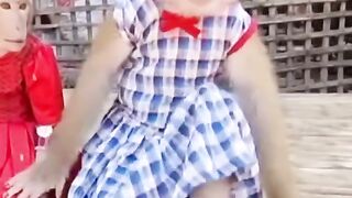 Monkey funny video