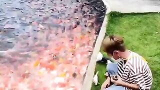 Butifu Name