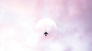 Beautiful view of nature 124