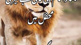 Viral video
