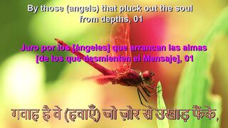 Surah Naziat. Recie by Muhammed AlKurd. Eng. Hindi. Spanish Subtitle