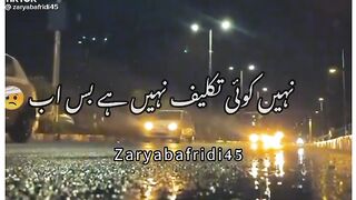 Amazing video