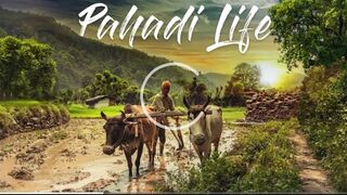 Beautiful Village Life of Punjab Pakistan | Beautiful Pakistan | Explore Pakistan