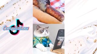 that little puff tiktok compilation
