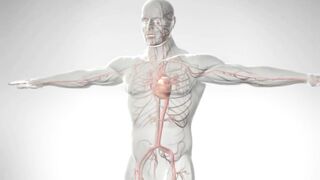 The Difference between Cardiac Arrest (Sudden Death)_ Heart Attack_ and Heart Failure -