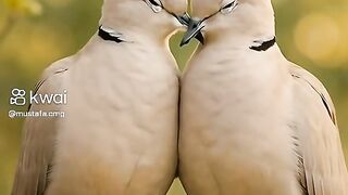 Dini konu ve paylaşım