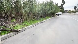 Je ressens une immense joie lorsque je nourris un chat errant et que je le rassure.