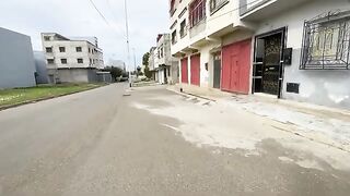 Le chat Bagheera et le chaton Ginger sont très mignons et demandent poliment à manger.