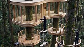 Turning a Hidden Forest Into a Luxury Treehouse Retreat