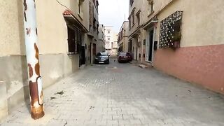 A very sweet stray cat, happy to see us because she is sure that we will feed her.